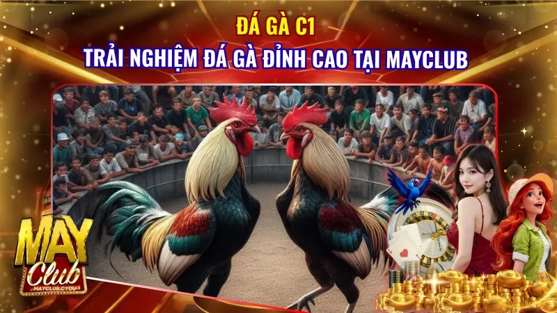 Đá Gà C1