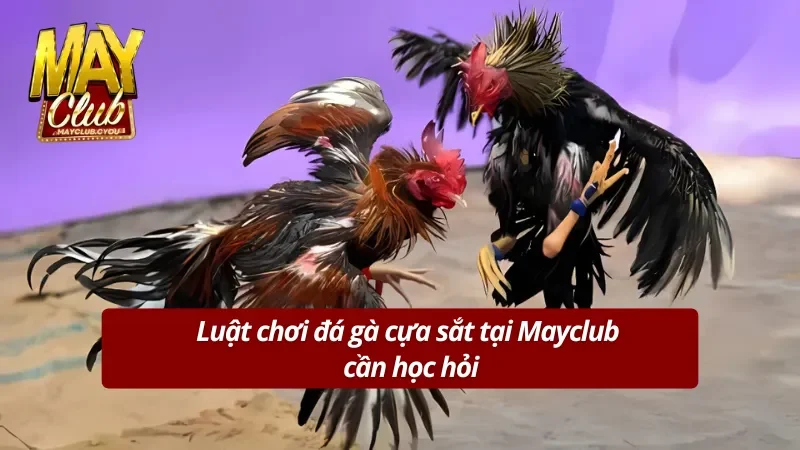 Cần nắm rõ luật chơi trước khi đặt cược