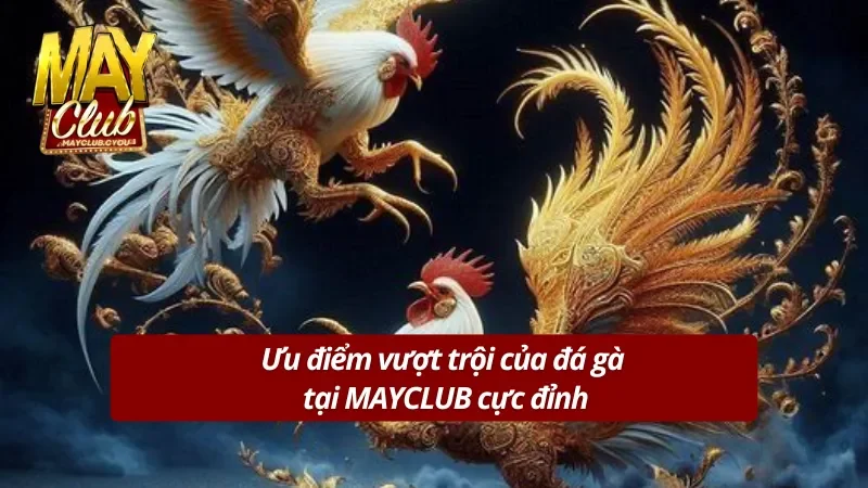 Ưu điểm vượt trội không thể bỏ qua tại MAYCLUB