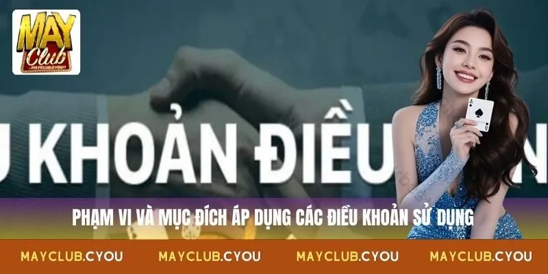 Phạm vi và mục đích áp dụng các điều khoản sử dụng