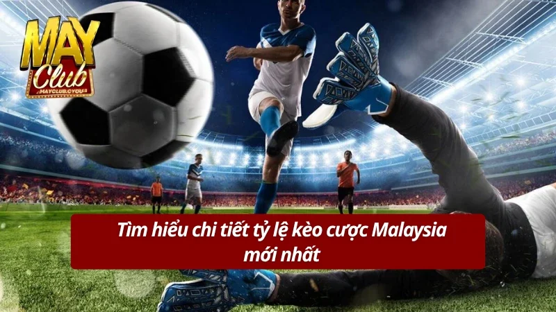 Tỷ lệ kèo cược Malaysia được tối ưu hóa