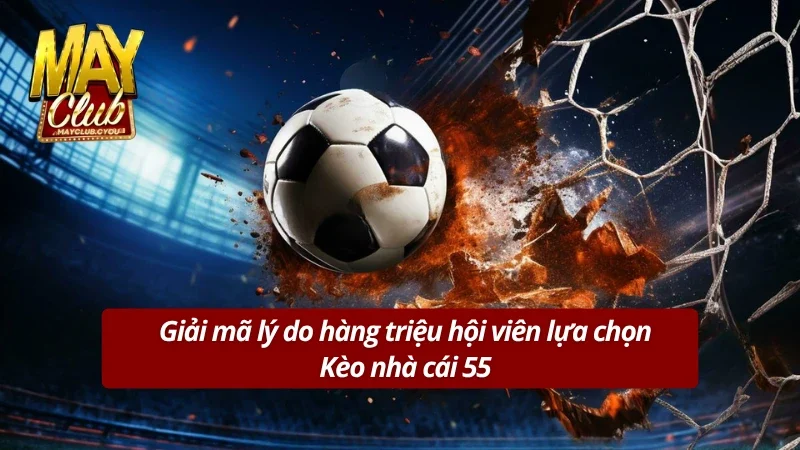 Nguyên nhân thu hút thành viên đến với nền tảng