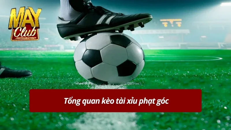 Tìm hiểu kèo tài xỉu phạt góc
