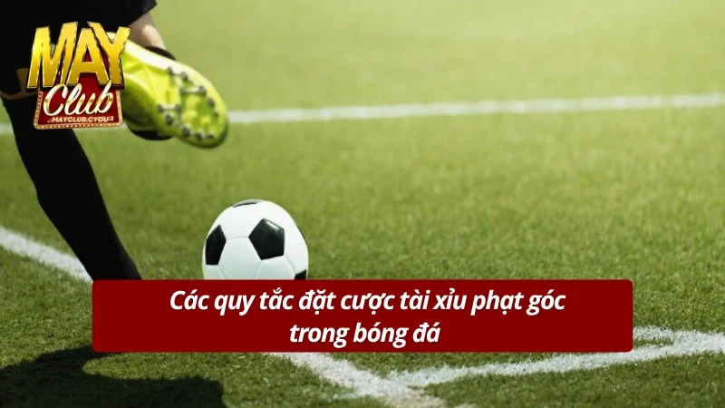 Một số nguyên tắc cần nắm khi lựa chọn kèo tài xỉu phạt góc