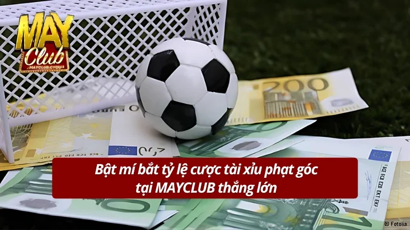 Mẹo soi cầu kèo tài xỉu phạt góc bất bại trong bóng đá