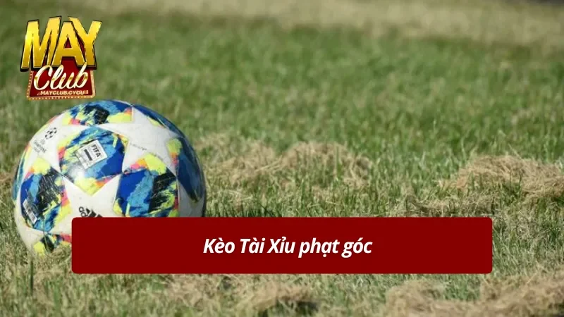 Kèo Tài xỉu phạt góc ăn thưởng siêu lớn trong thể thao Mayclub